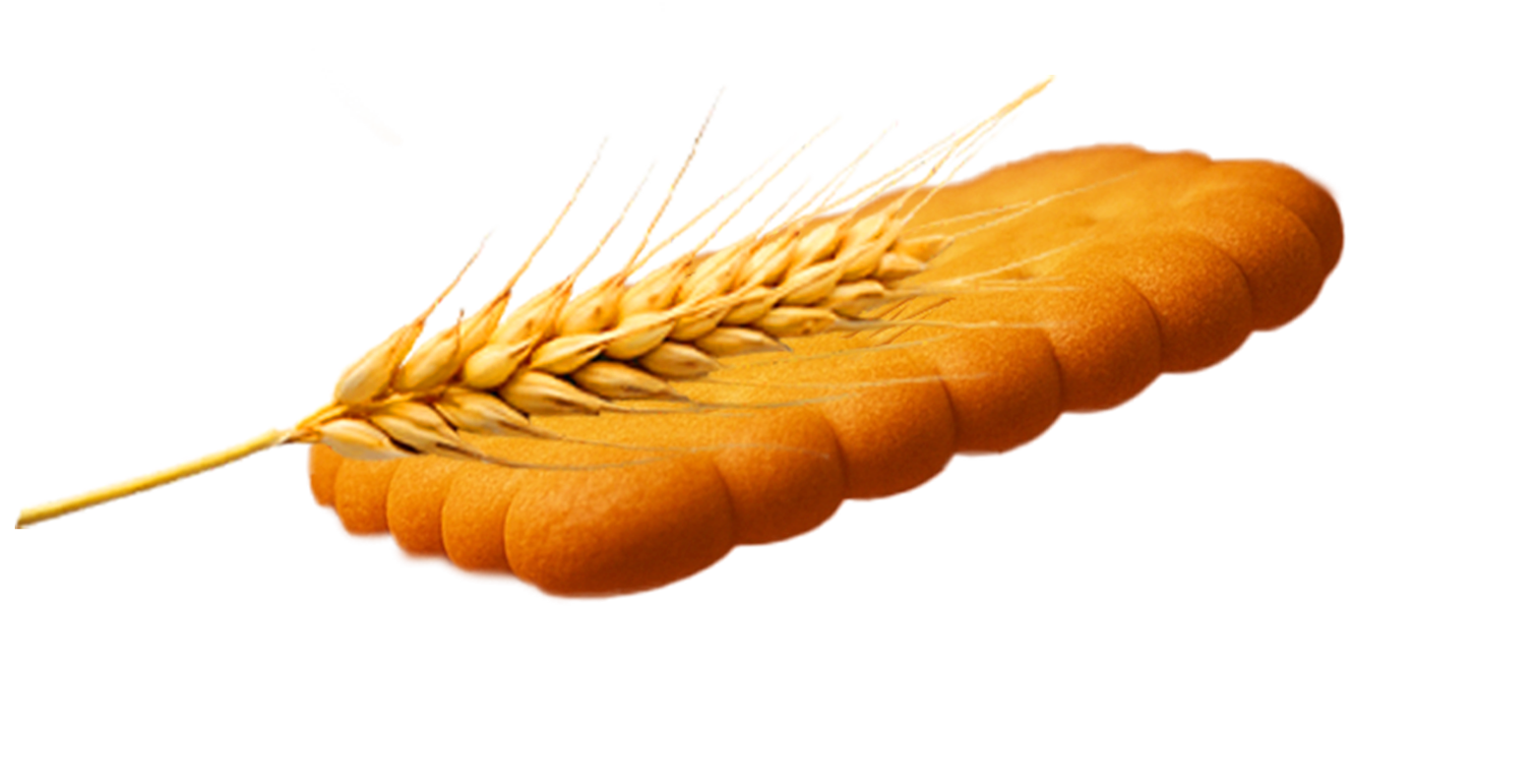 Wheat